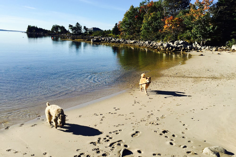 Photo of Others in Black Point