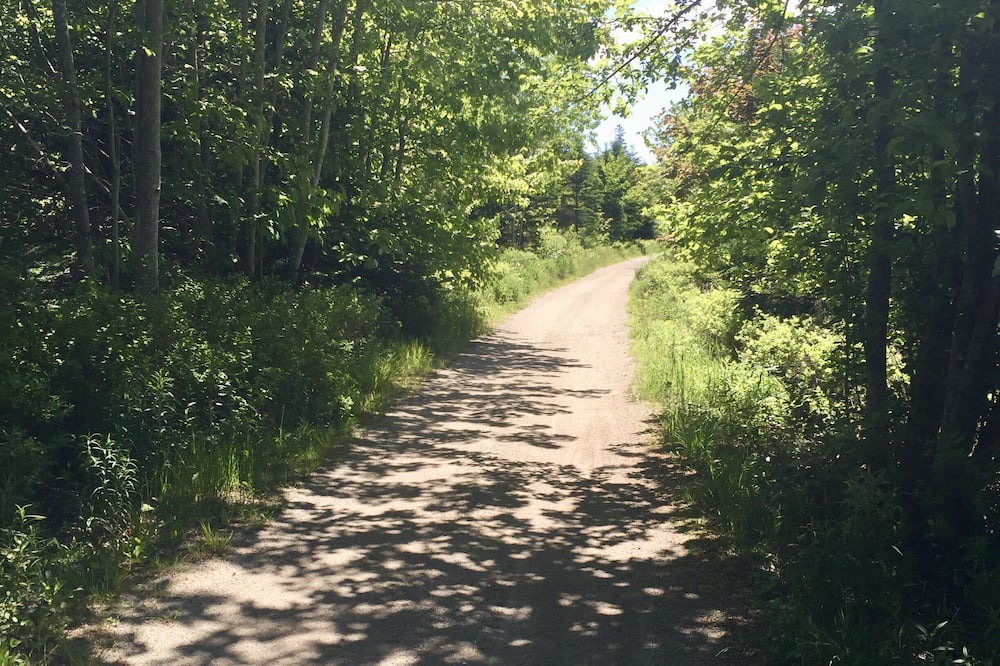 Photo of Outdoor in Black Point