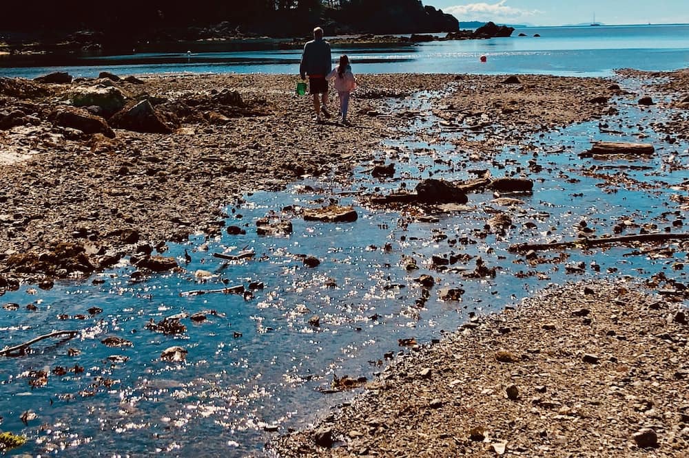 Photo of Others in Heriot Bay