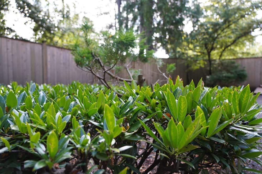 Photo of Outdoor in Shaughnessy