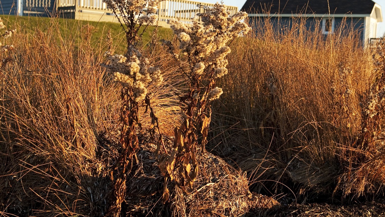 Photo of Outdoor in Tracadie