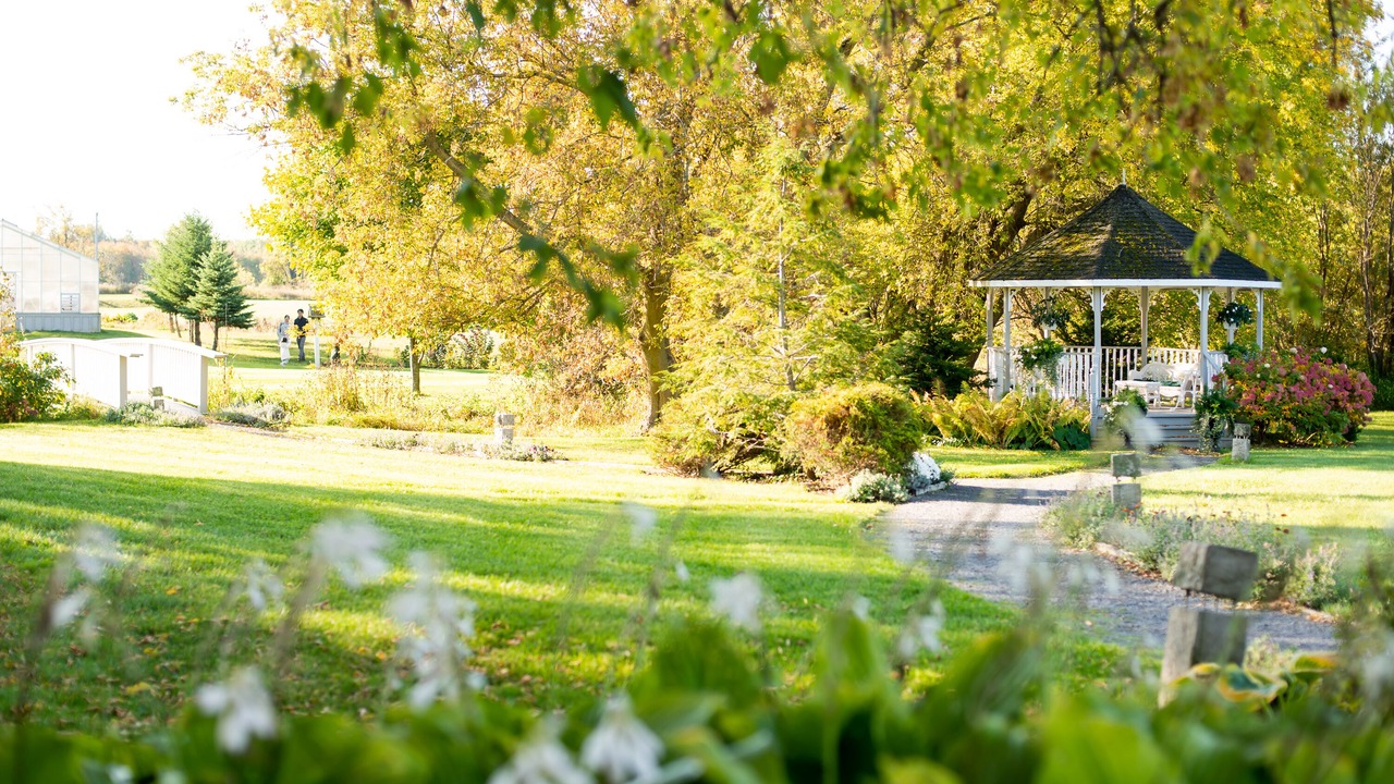 Photo of Outdoor in Picton