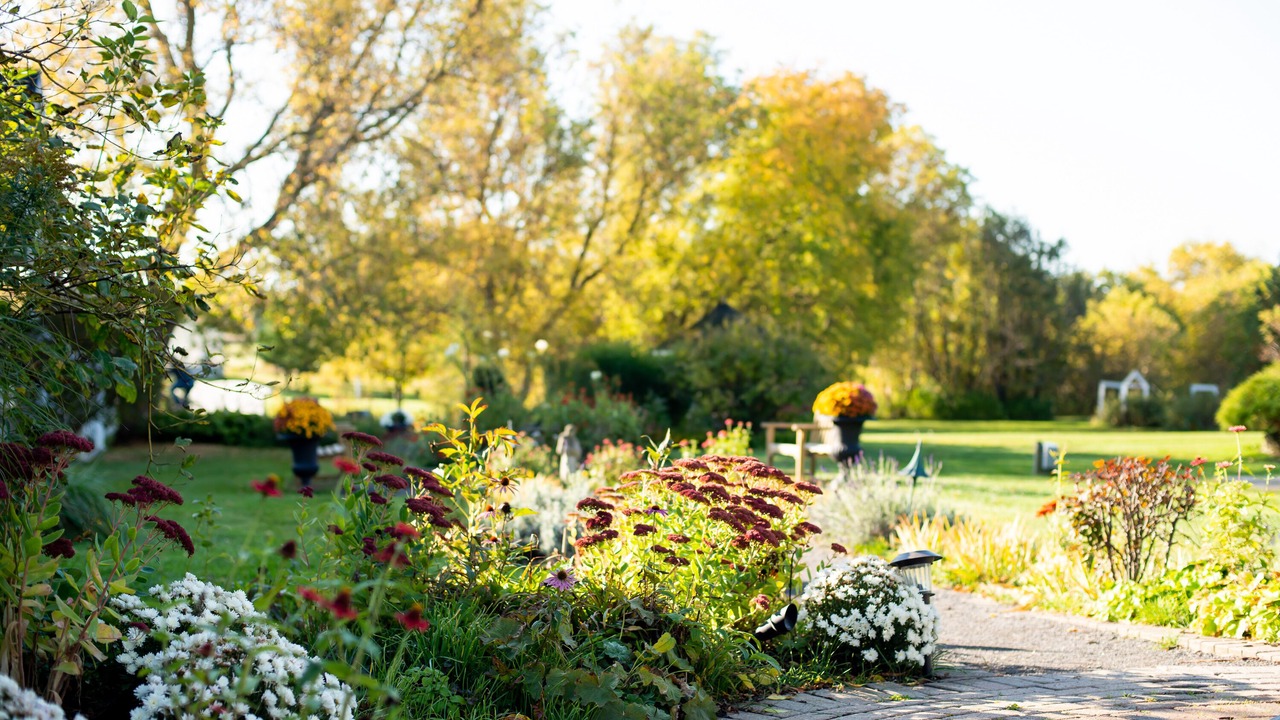 Photo of Outdoor in Picton