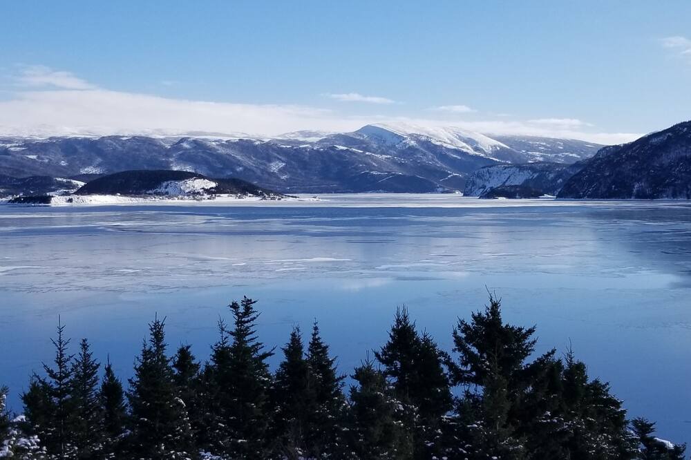 Photo of Others in Woody Point