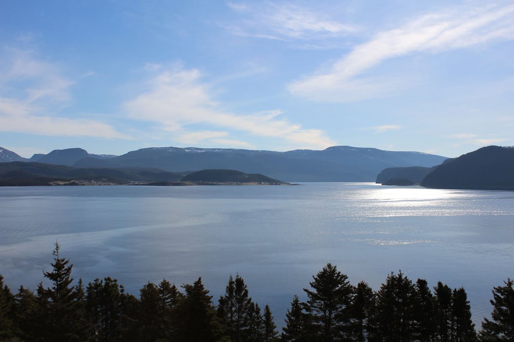 Photo of Others in Woody Point
