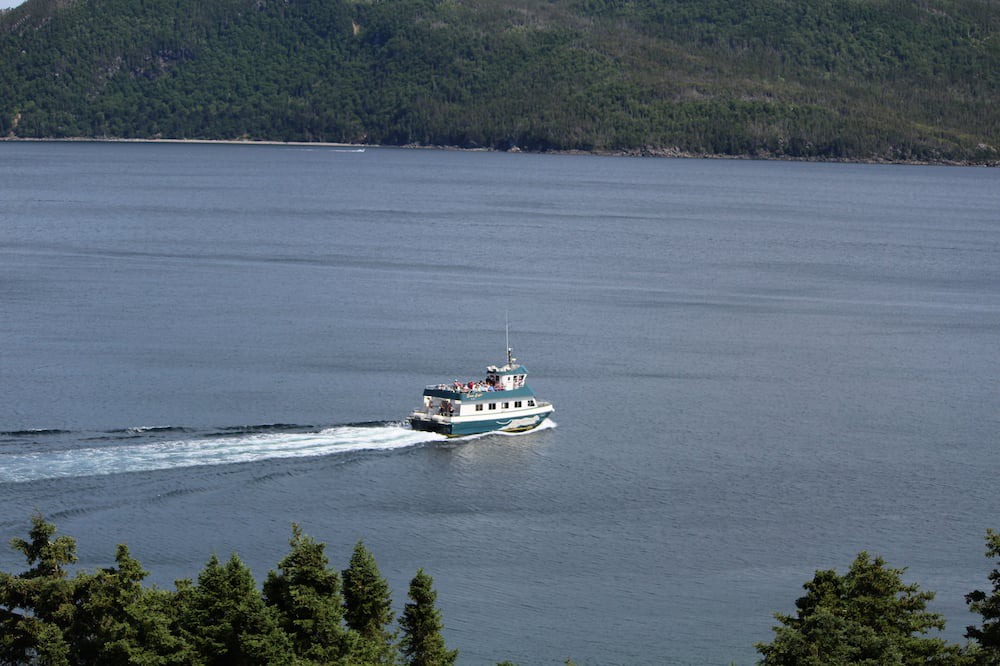 Photo of Outdoor in Woody Point