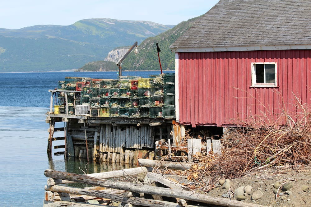 Photo of Outdoor in Woody Point