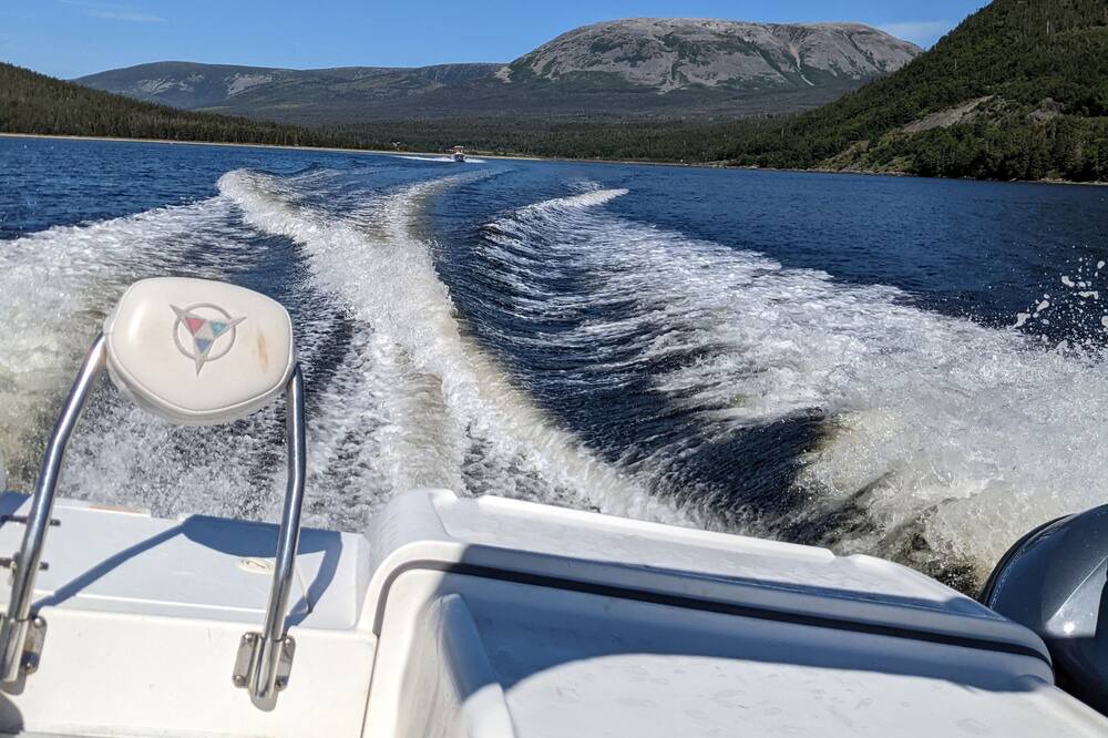 Photo of Outdoor in Woody Point