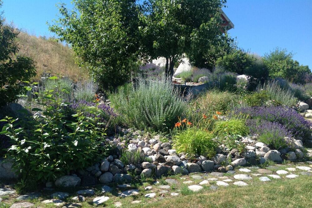 Photo of Outdoor in Central Okanagan