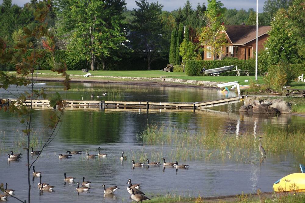 Photo of Outdoor in Larouche