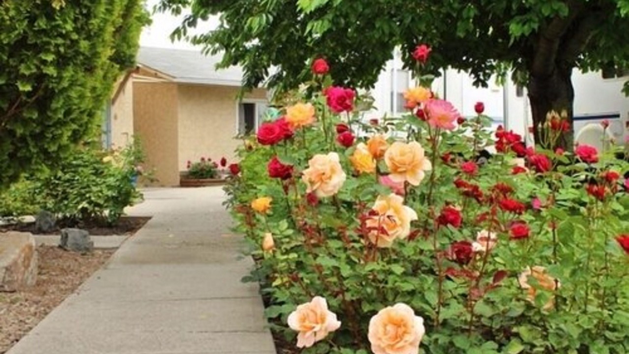 Photo of Outdoor in Okanagan-Similkameen