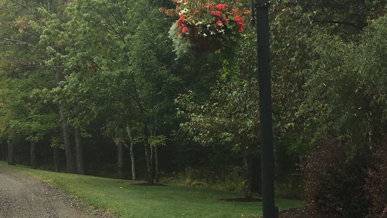 Photo of Outdoor in Dufferin