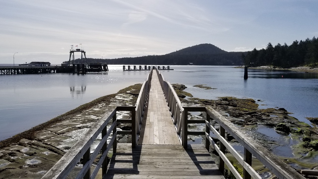 Photo of Others in Sturdies Bay
