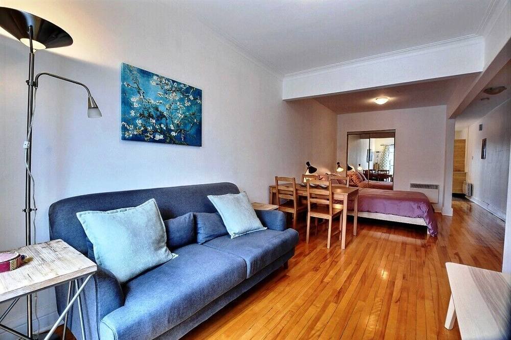 Photo of Livingroom in Rosemont-La Petite-Patrie