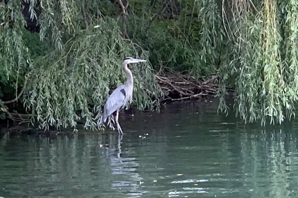 Photo of Outdoor in LaSalle