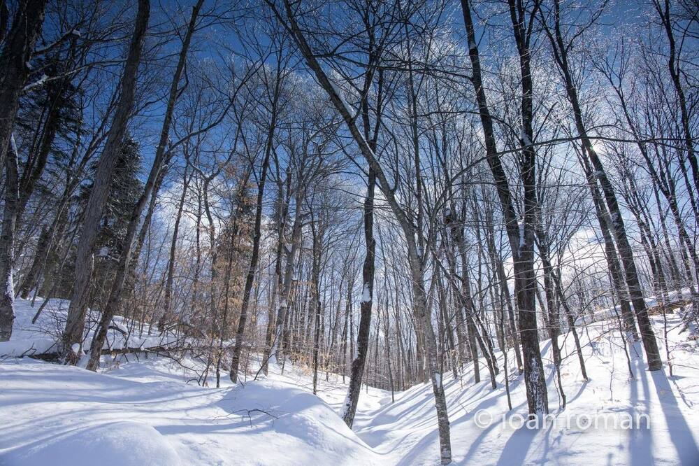 Photo of Others in Wentworth-Nord