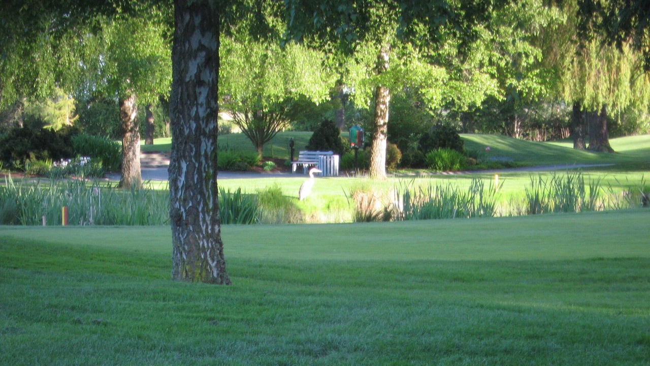 Photo of Others in Delta