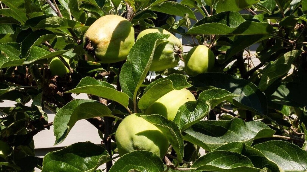 Photo of Outdoor in Delta