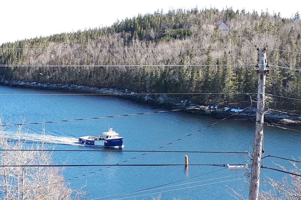 Photo of Outdoor in Northwest Cove