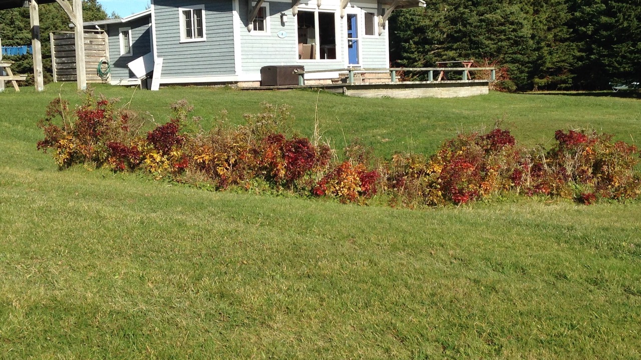 Photo of Outdoor in Antigonish