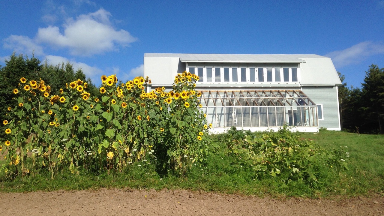 Photo of Outdoor in Antigonish