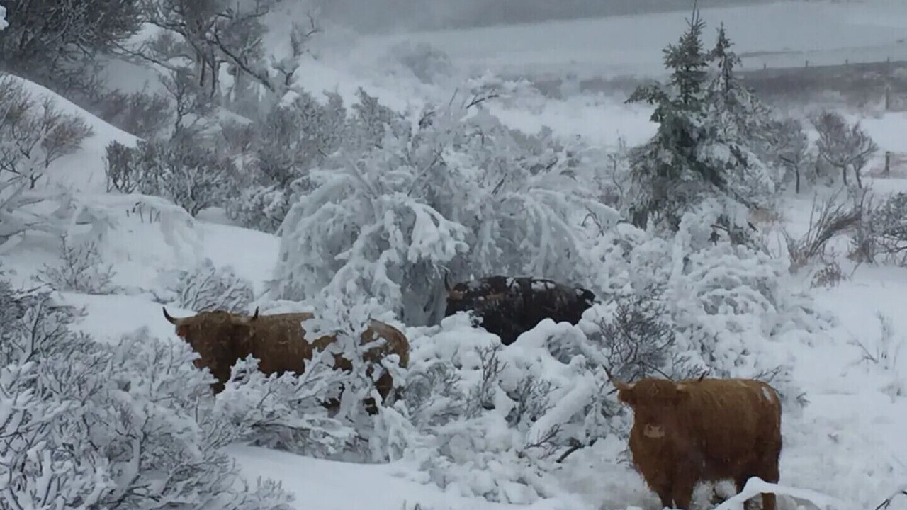 Photo of Outdoor in Upper Kingsburg