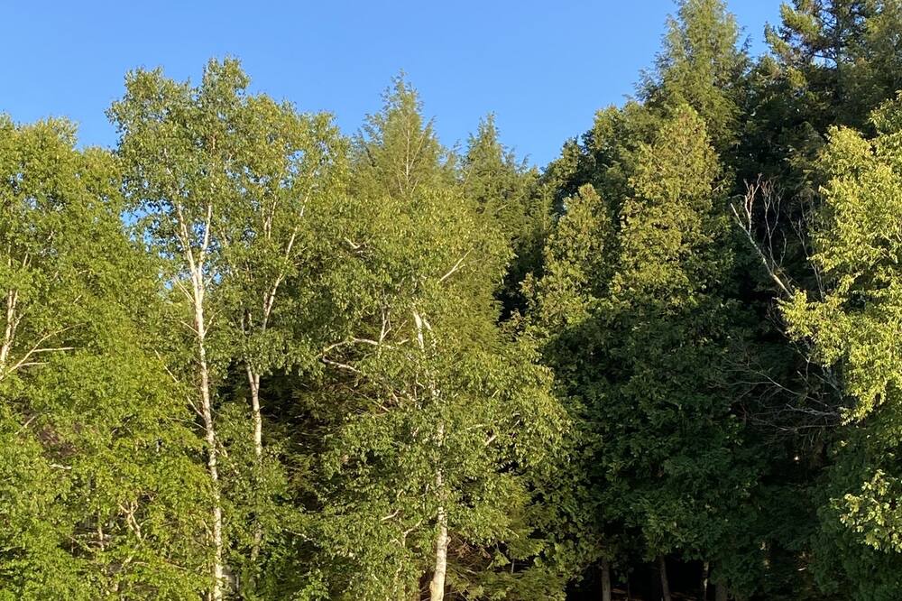 Photo of Outdoor in Harrington