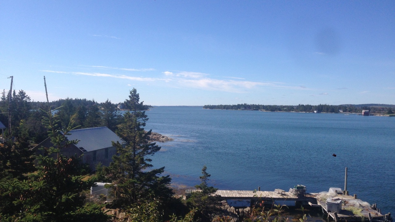 Photo of Others in LaHave