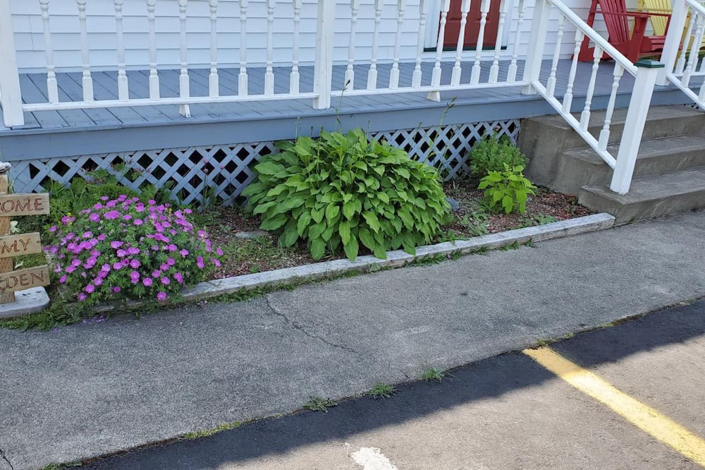 Photo of Outdoor in Twillingate