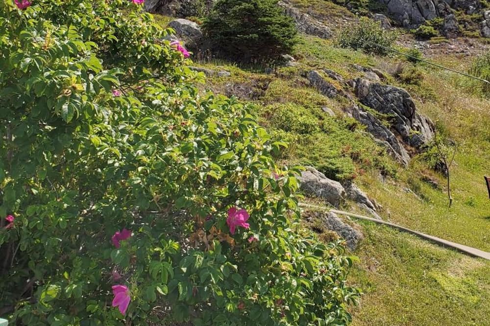 Photo of Outdoor in Twillingate
