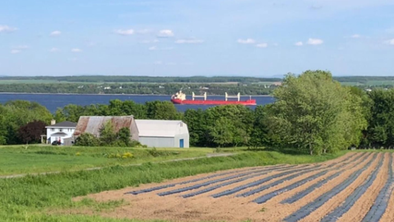 Photo of Outdoor in Saint-Laurent-de-l'ile d'Orleans