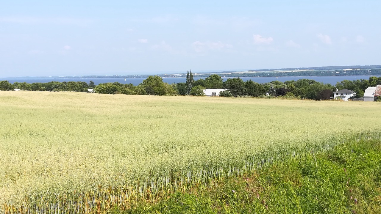 Photo of Others in Saint-Laurent-de-l'ile d'Orleans