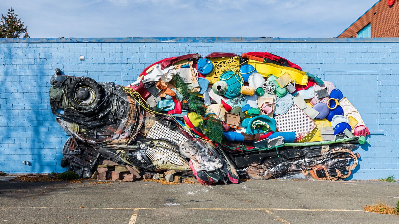 Photo of Outdoor in Moncton