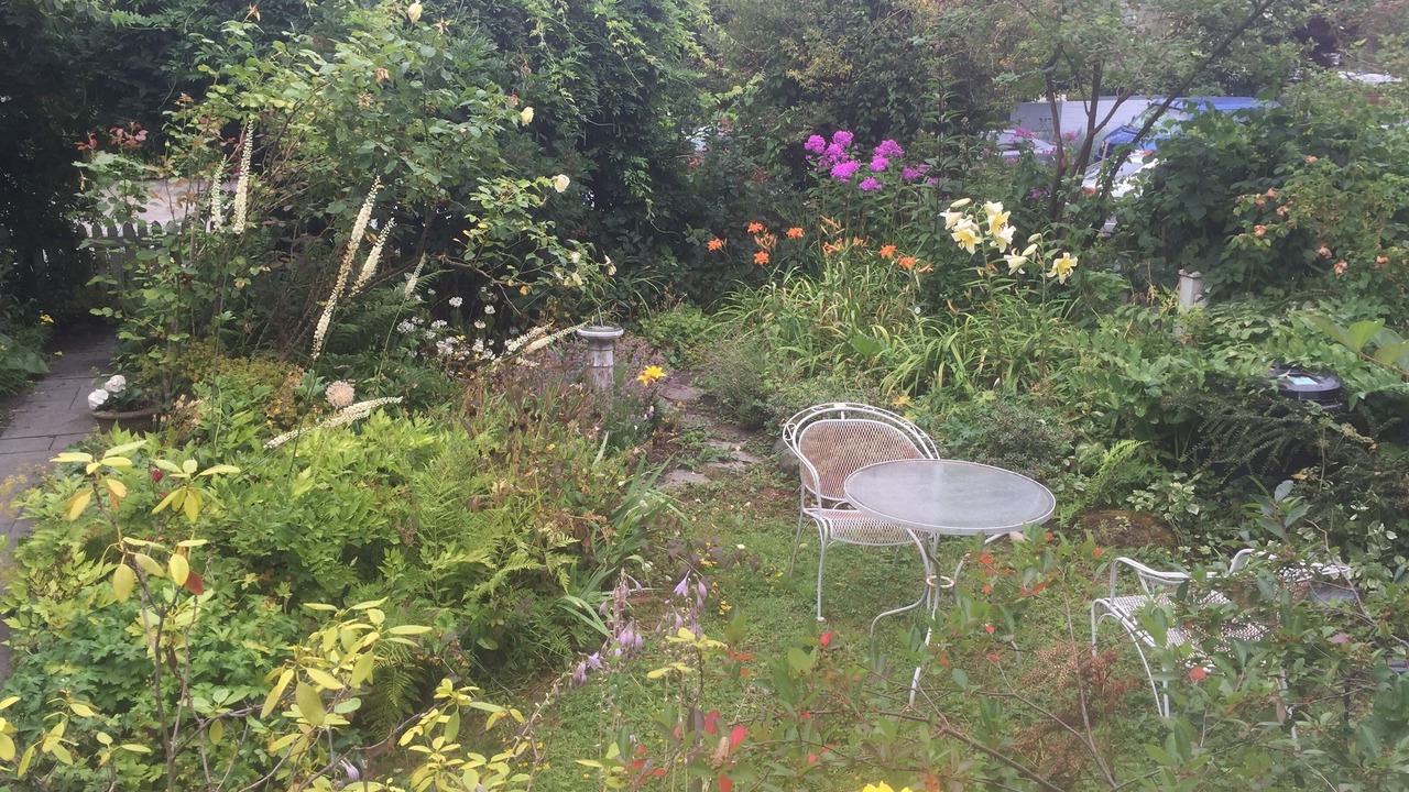 Photo of Outdoor in Kitsilano
