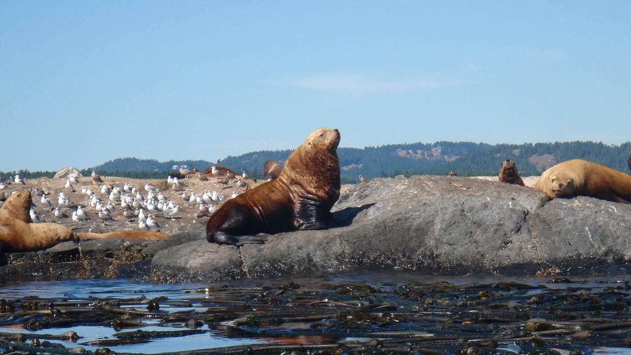 Photo of Others in Gordon Head