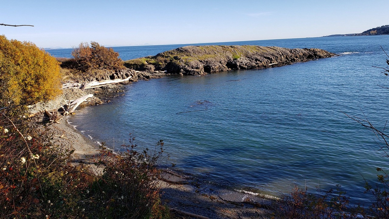 Photo of Others in Gordon Head