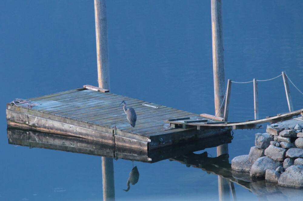 Photo of Others in Central Kootenay