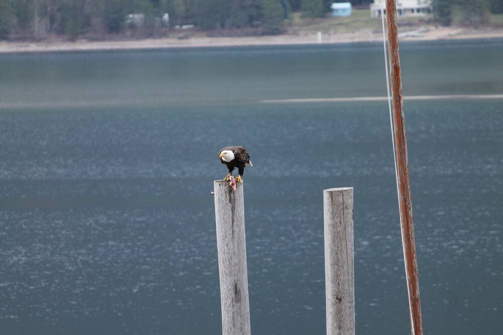 Photo of Outdoor in Central Kootenay