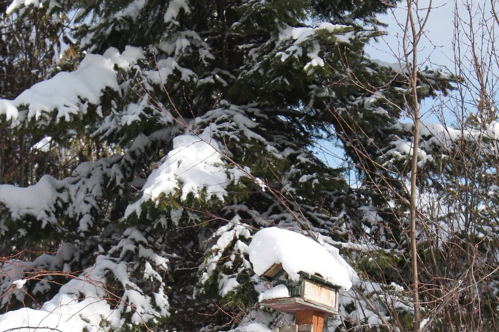 Photo of Outdoor in Central Kootenay