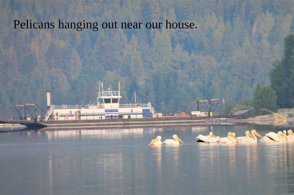 Photo of Others in Central Kootenay