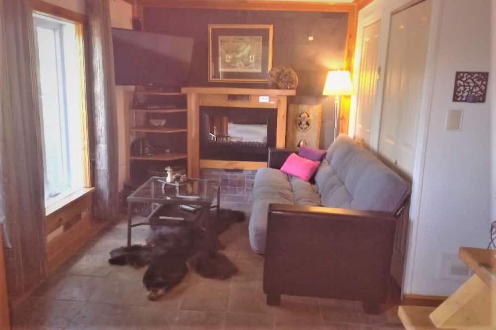 Photo of Livingroom in Saint-Samuel