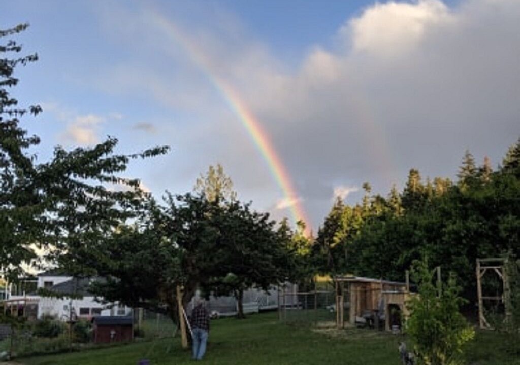 Photo of Outdoor in Buckley Bay