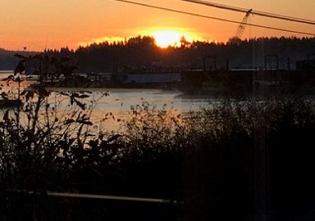 Photo of Others in Buckley Bay