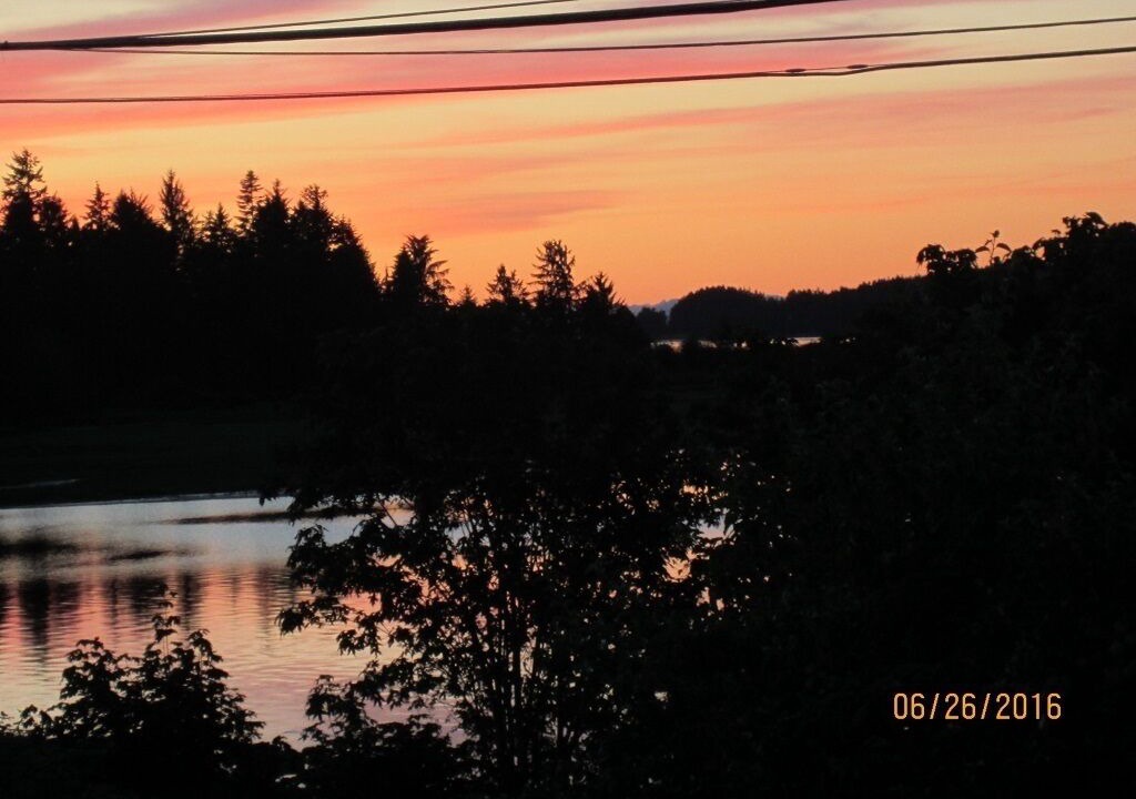 Photo of Others in Buckley Bay