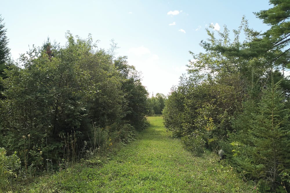 Photo of Outdoor in Cape Breton Island