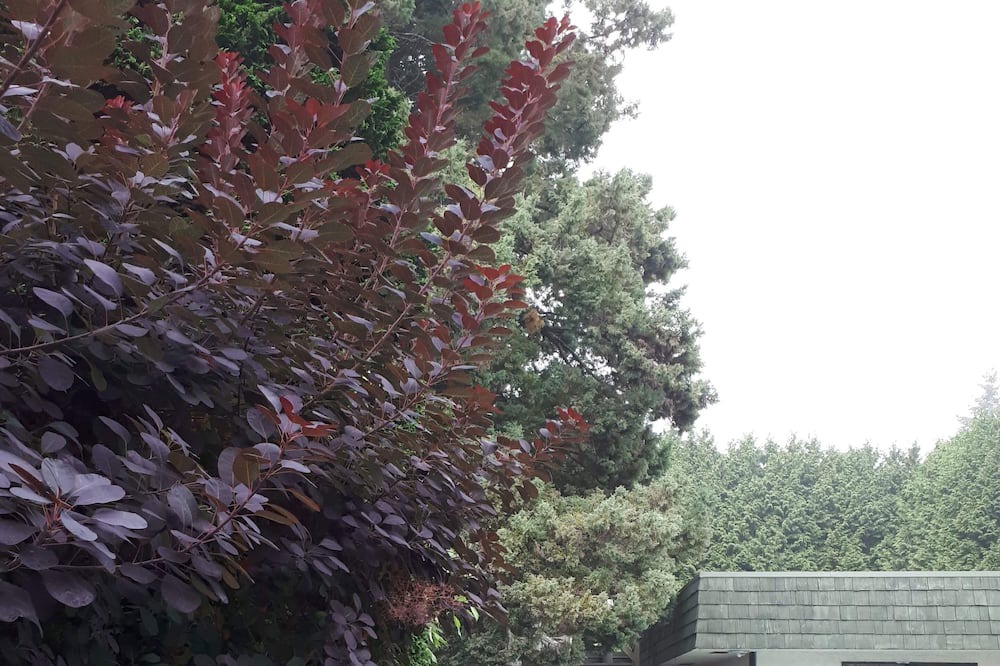 Photo of Outdoor in Oakridge