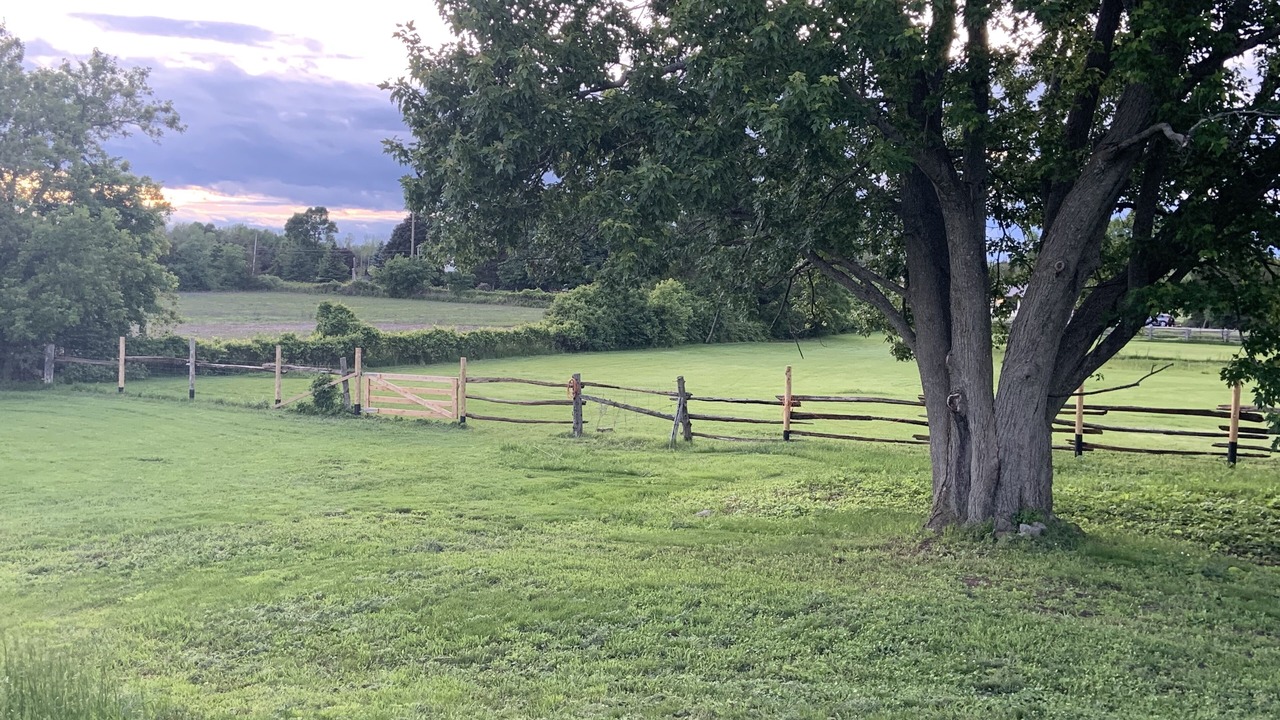 Photo of Outdoor in Shannonville