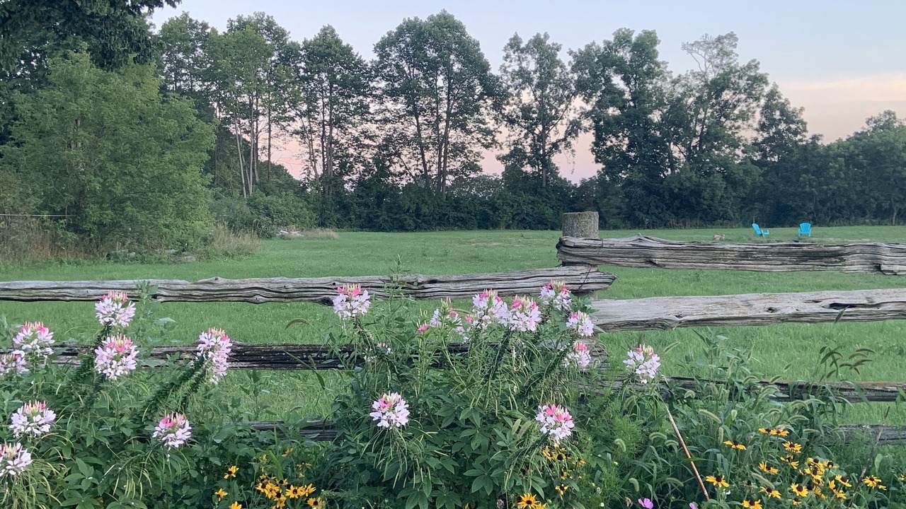 Photo of Outdoor in Shannonville