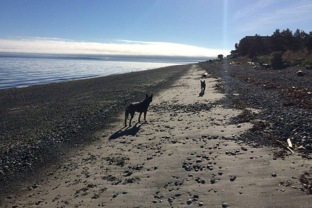 Photo of Others in Powell River
