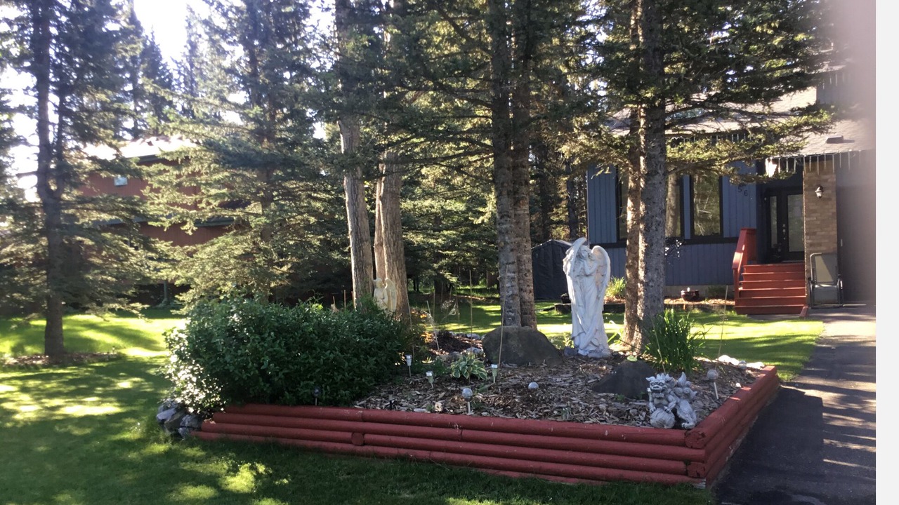 Photo of Outdoor in Redwood Meadows
